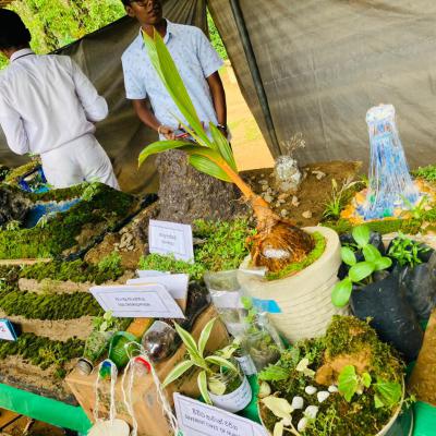 Whatsapp Image 2024 07 12 At 08.53.27