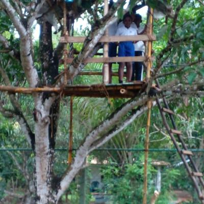 Whatsapp Image 2024 07 12 At 23.03.14